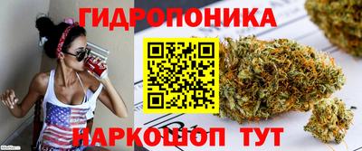 кокс Можайск